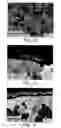 Fig. 07 - Catalytic coatings, methods of making and use thereof