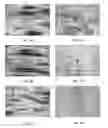 Fig. 04 - Microfluidic surface-mediated emulsion stability control