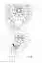 Fig. 04 - Combined multi-purpose handheld shower and showerhead