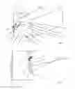 Fig. 02 - Metal cutting grooving insert for face grooving