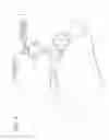 Fig. 04 - WATCHING ROBOT