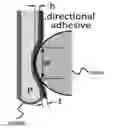 Fig. 01 - Air-bladder enhanced with gecko-adhesive for grasping applications