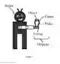Fig. 08 - Underactuated mechanical finger capable of linear motion with compensatory displacement, mechanical gripper and robot containing the same
