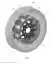 Fig. 09 - Wheel for a support structure