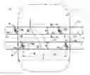 Fig. 01 - A Noise Reducing Tread