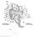 Fig. 01 - Automobile door sealing structure