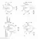 Fig. 07 - DIFFERENTIAL EMERGENCY/PARK ELECTRIC BRAKE SYSTEM