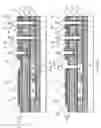 Fig. 06 - Monolithic integration of piezoelectric micromachined ultrasonic transducers and CMOS and method for producing the same