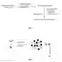 Fig. 02 - ANTI-MICROBIAL MEDIA AND METHOD OF MAKING THE SAME