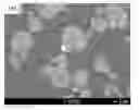 Fig. 01 - Silver-containing calcium phosphate sintered body and method for producing same