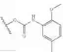 Fig. 06 - Sigma receptor binders