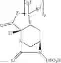Fig. 06 - Beta-lactamase inhibitors