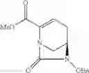 Fig. 22 - Beta-lactamase inhibitors