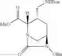 Fig. 35 - Beta-lactamase inhibitors