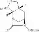 Fig. 44 - Beta-lactamase inhibitors