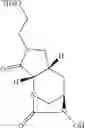Fig. 65 - Beta-lactamase inhibitors