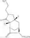 Fig. 69 - Beta-lactamase inhibitors