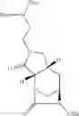 Fig. 72 - Beta-lactamase inhibitors