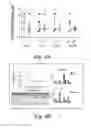 Fig. 06 - Beta-amino pateamine a derivatives and methods for treating chronic lymphocytic leukemia