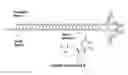 Fig. 01 - Compositions comprising reversibly modified oligonucleotides and uses thereof