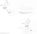 Fig. 55 - Compositions comprising reversibly modified oligonucleotides and uses thereof