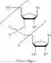 Fig. 24 - Asymmetric auxiliary group