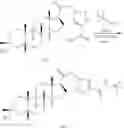 Fig. 231 - COMPOSITIONS AND METHODS FOR TREATING CNS DISORDERS