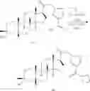 Fig. 232 - COMPOSITIONS AND METHODS FOR TREATING CNS DISORDERS