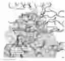 Fig. 01 - Compositions and methods for treating cardiovascular disease