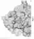 Fig. 03 - Compositions and methods for treating cardiovascular disease