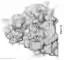 Fig. 21 - Compositions and methods for treating cardiovascular disease