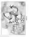 Fig. 36 - Compositions and methods for treating cardiovascular disease