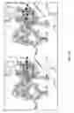 Fig. 43 - Compositions and methods for treating cardiovascular disease