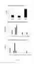 Fig. 04 - AKT-SPECIFIC CAPTURE AGENTS, COMPOSITIONS, AND METHODS OF USING AND MAKING