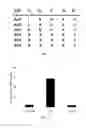 Fig. 10 - AKT-SPECIFIC CAPTURE AGENTS, COMPOSITIONS, AND METHODS OF USING AND MAKING