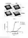 Fig. 16 - AKT-SPECIFIC CAPTURE AGENTS, COMPOSITIONS, AND METHODS OF USING AND MAKING