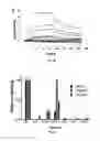 Fig. 17 - AKT-SPECIFIC CAPTURE AGENTS, COMPOSITIONS, AND METHODS OF USING AND MAKING