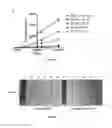Fig. 22 - AKT-SPECIFIC CAPTURE AGENTS, COMPOSITIONS, AND METHODS OF USING AND MAKING