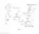Fig. 29 - AKT-SPECIFIC CAPTURE AGENTS, COMPOSITIONS, AND METHODS OF USING AND MAKING