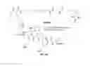 Fig. 32 - AKT-SPECIFIC CAPTURE AGENTS, COMPOSITIONS, AND METHODS OF USING AND MAKING