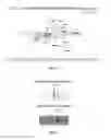 Fig. 41 - AKT-SPECIFIC CAPTURE AGENTS, COMPOSITIONS, AND METHODS OF USING AND MAKING