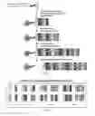 Fig. 02 - Methods of transcription activator like effector assembly