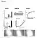 Fig. 07 - Vascular endothelial growth factor antagonists