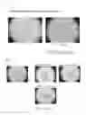 Fig. 06 - DSG2-derived peptides