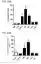 Fig. 40 - Antibodies specific for hyperphosphorylated tau and methods of use thereof
