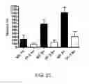 Fig. 41 - Antibodies specific for hyperphosphorylated tau and methods of use thereof