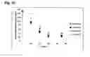 Fig. 09 - Method of treating extracellular tissue and vascular calcification and arteriosclerosis