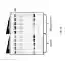 Fig. 09 - Antibodies with engineered CH2 domains, compositions thereof and methods of using the same