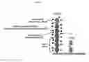 Fig. 03 - Chimeric antigen receptor