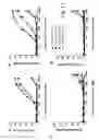 Fig. 19 - BISPECIFIC T CELL ACTIVATING ANTIGEN BINDING MOLECULES